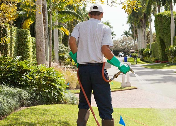 About Bradshaw NE Pest Control